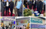 حضور مدیر تعاون روستایی خوزستان در افتتاحیه نمایشگاه هفته دولت